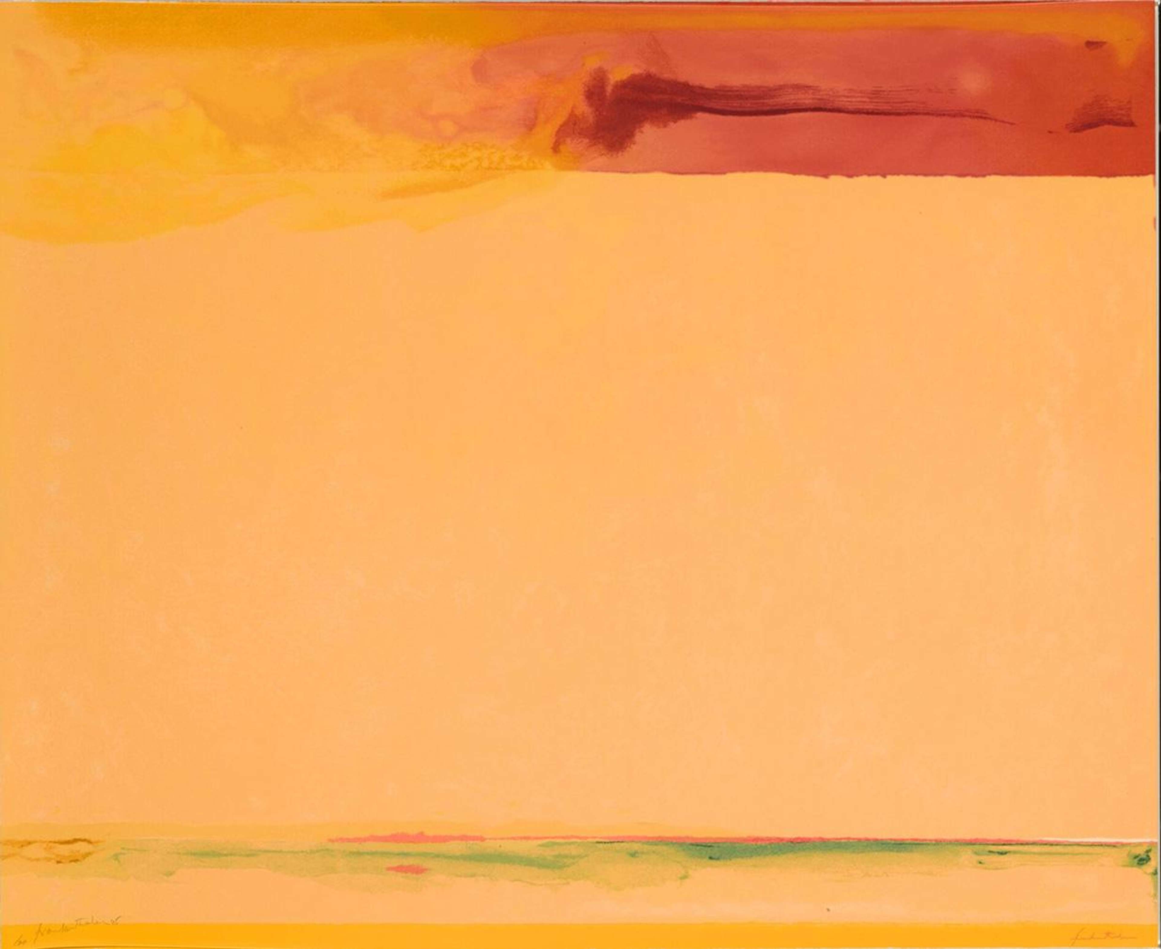 Southern Exposure - Signed Print by Helen Frankenthaler 2005 - MyArtBroker