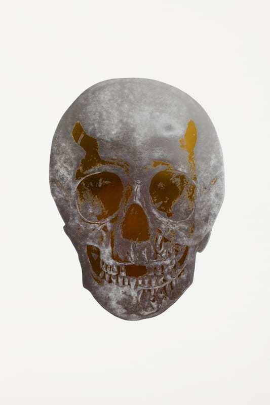 The Dead by Damien Hirst Meaning, Analysis & Auction Results