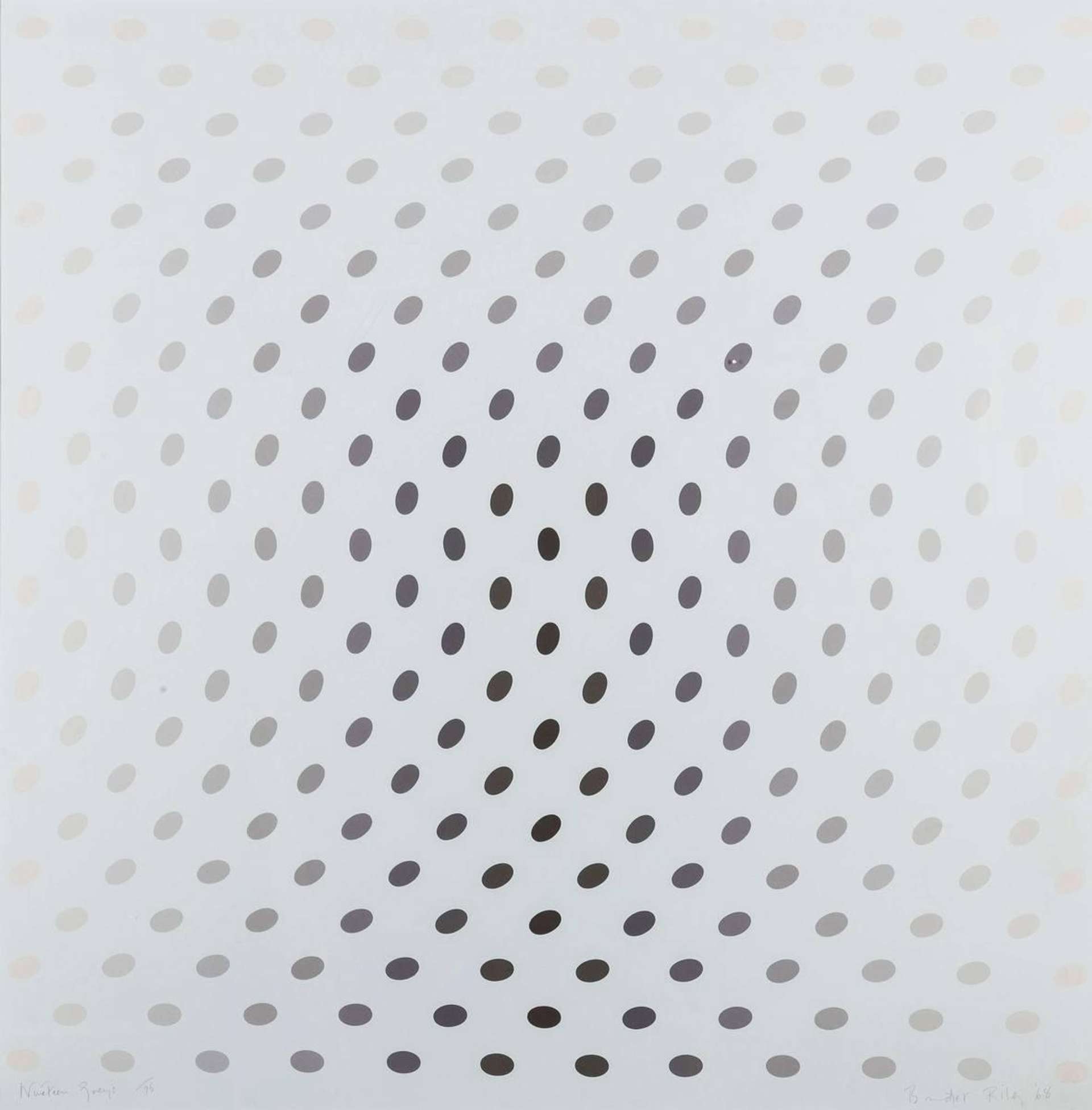 Bridget Riley’s Nineteen Greys C. An Op Art screenprint of gradient black dots against a grey background.
