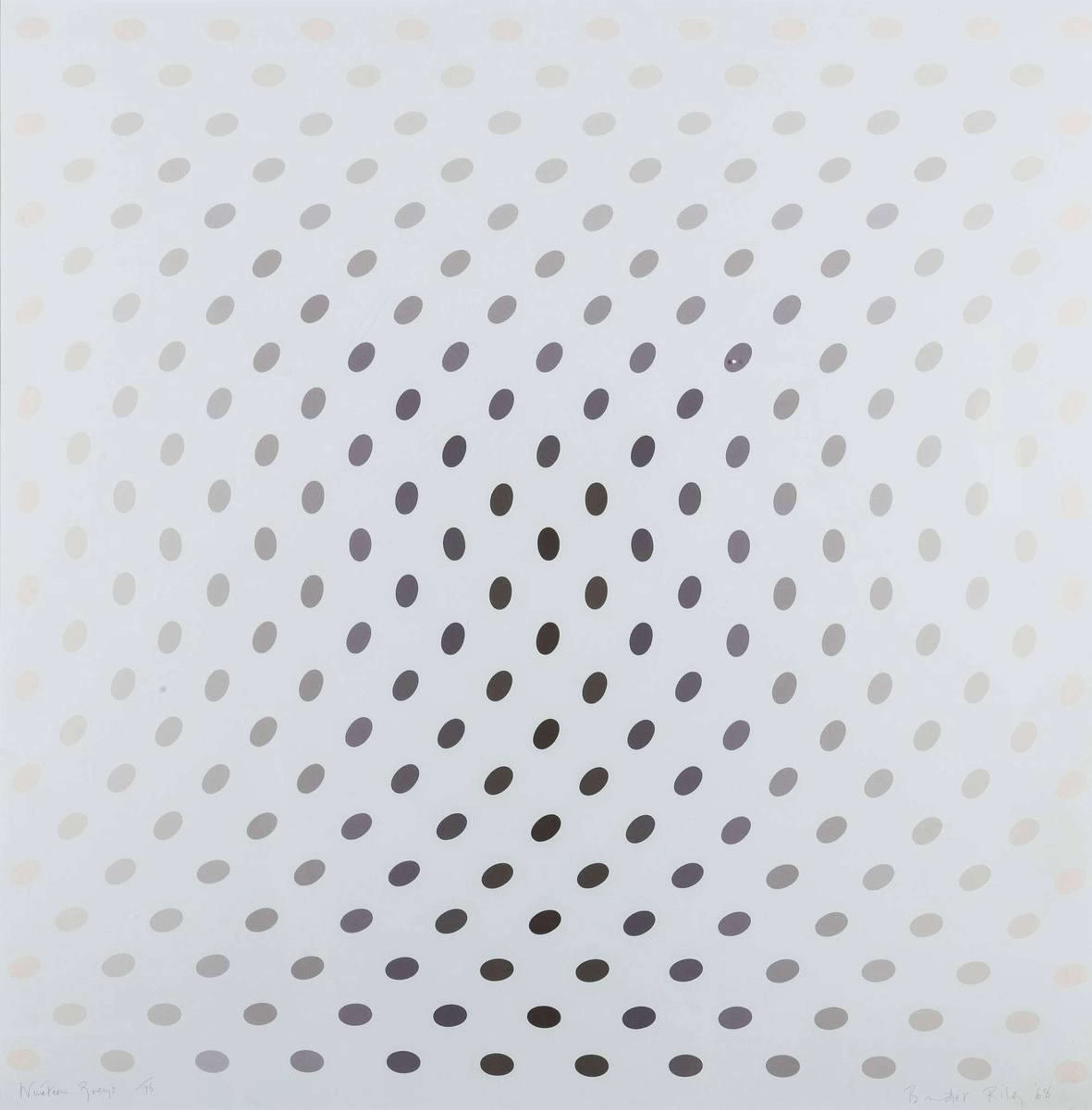 Bridget Riley’s Nineteen Greys C. An Op Art screenprint of gradient black dots against a grey background.
