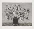 Auction Table Image