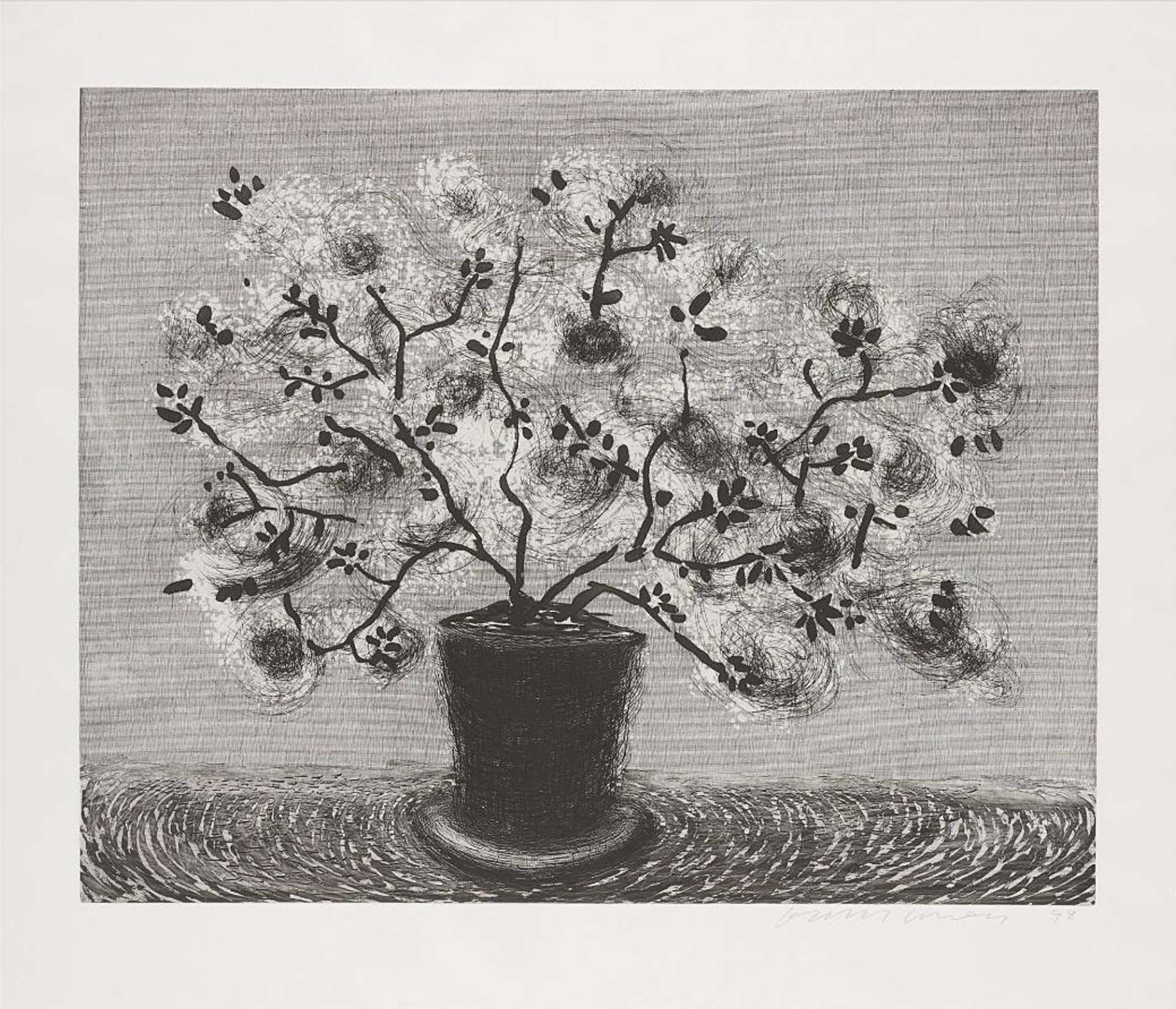 Black Wire Plant - Signed Print by David Hockney 1998 - MyArtBroker