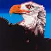 Bald Eagle (F. & S. II.296) - Signed Print