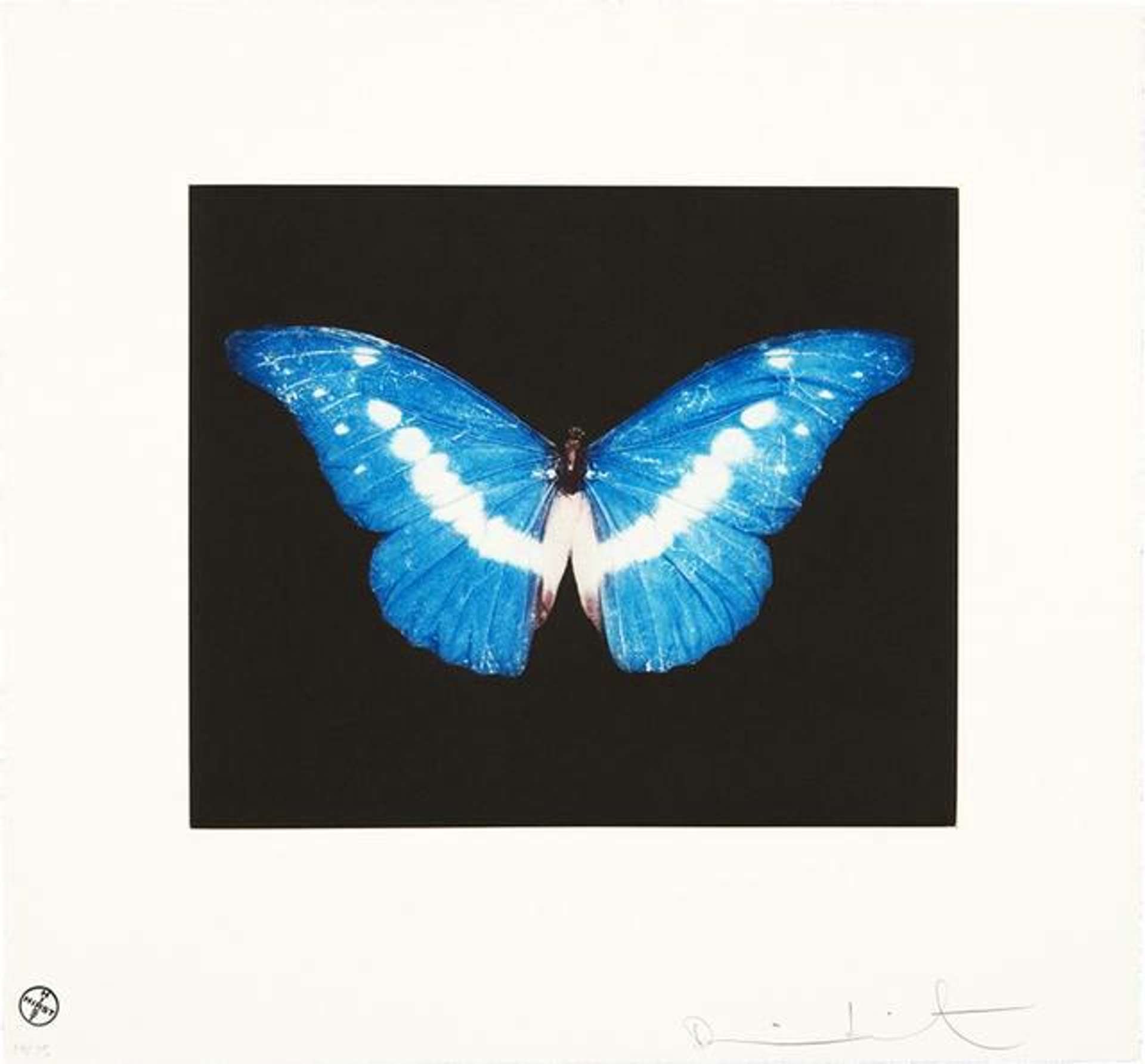 Damien Hirst: To Begin - Signed Print