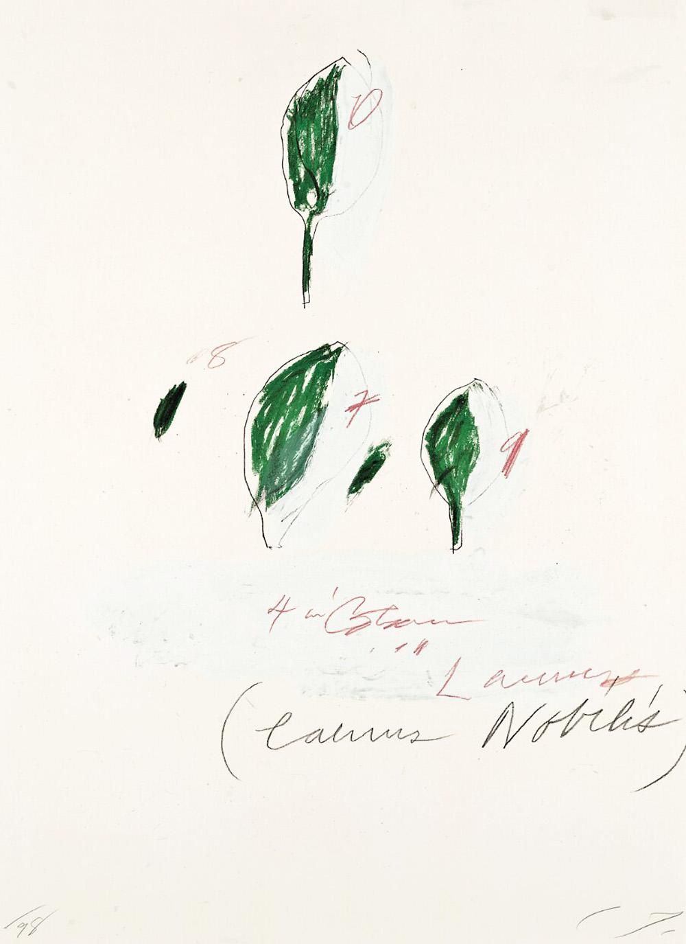 希少品 Cy Twombly 画集 Cy Twombly: Retrospective Rare Book | Gagosian Shop