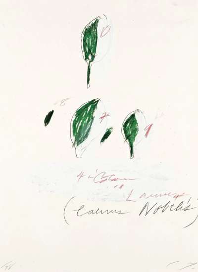 Laurus Nobilis - Signed Print by Cy Twombly 1976 - MyArtBroker