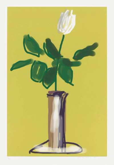 White Rose - Signed Print by David Hockney 2009 - MyArtBroker