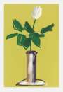 David Hockney: White Rose - Signed Print