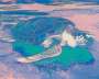 Andy Warhol: Sea Turtle (F. & S. II.360A) - Signed Print