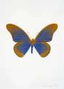 Damien Hirst: The Souls IV (frost blue, paradise copper) - Signed Print