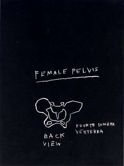 Anatomy, Female Pelvis - Signed Print by Jean-Michel Basquiat 1982 - MyArtBroker