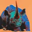 Black Rhinoceros (F. & S. II.301) - Signed Print