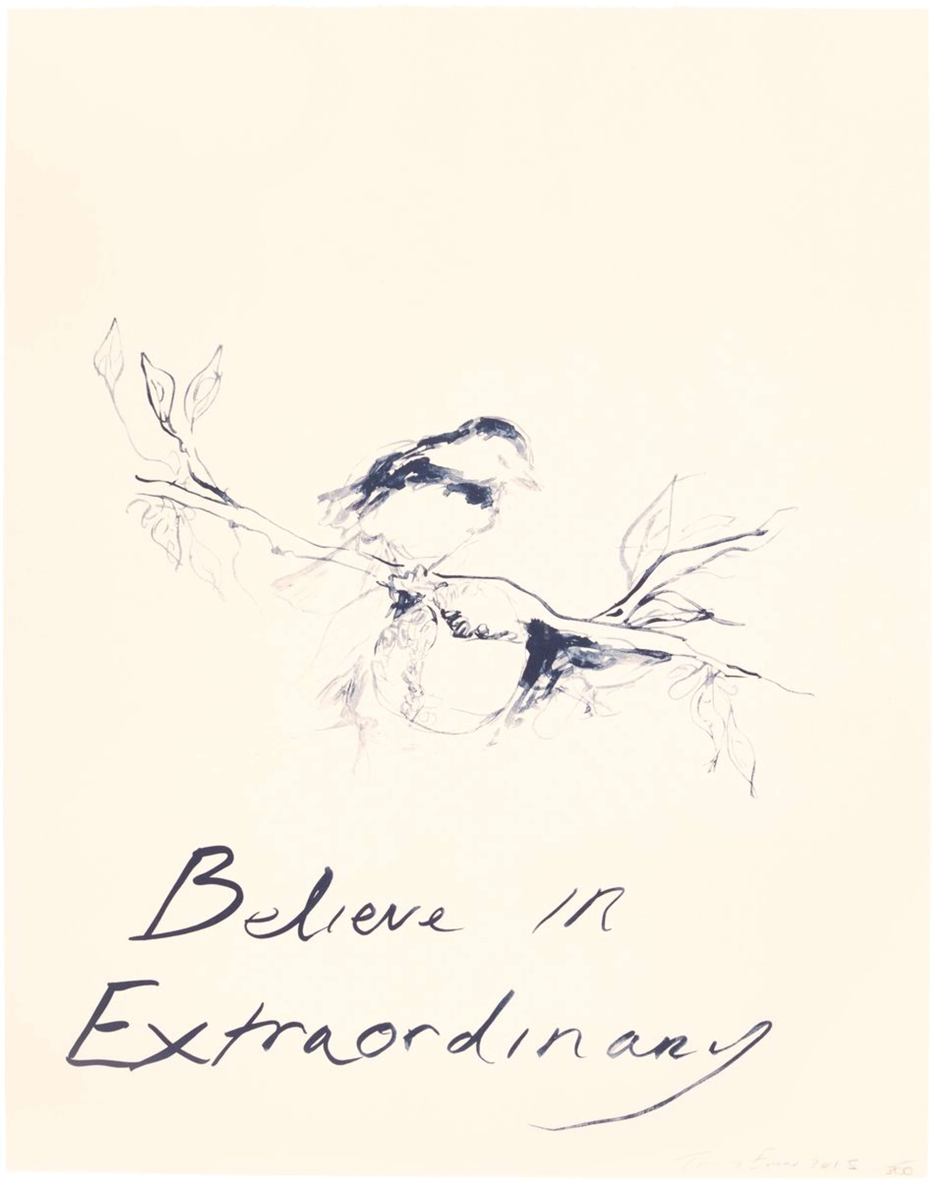 Believe In Extraordinary - Signed Print
