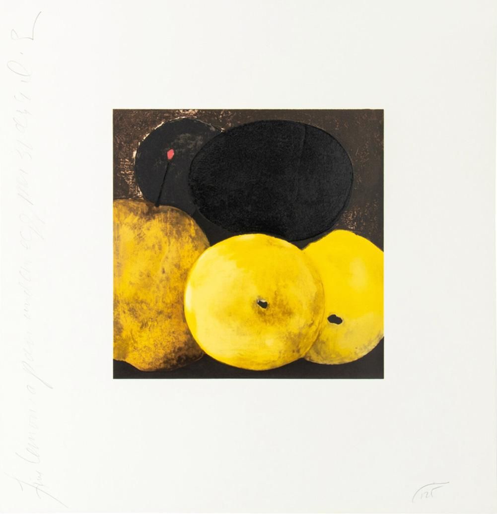 Donald Sultan Five Lemons, A Pear, And An Egg (Signed Print) 1994