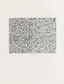 Jasper Johns: Corpse And Mirror (ULAE 167) - Signed Print