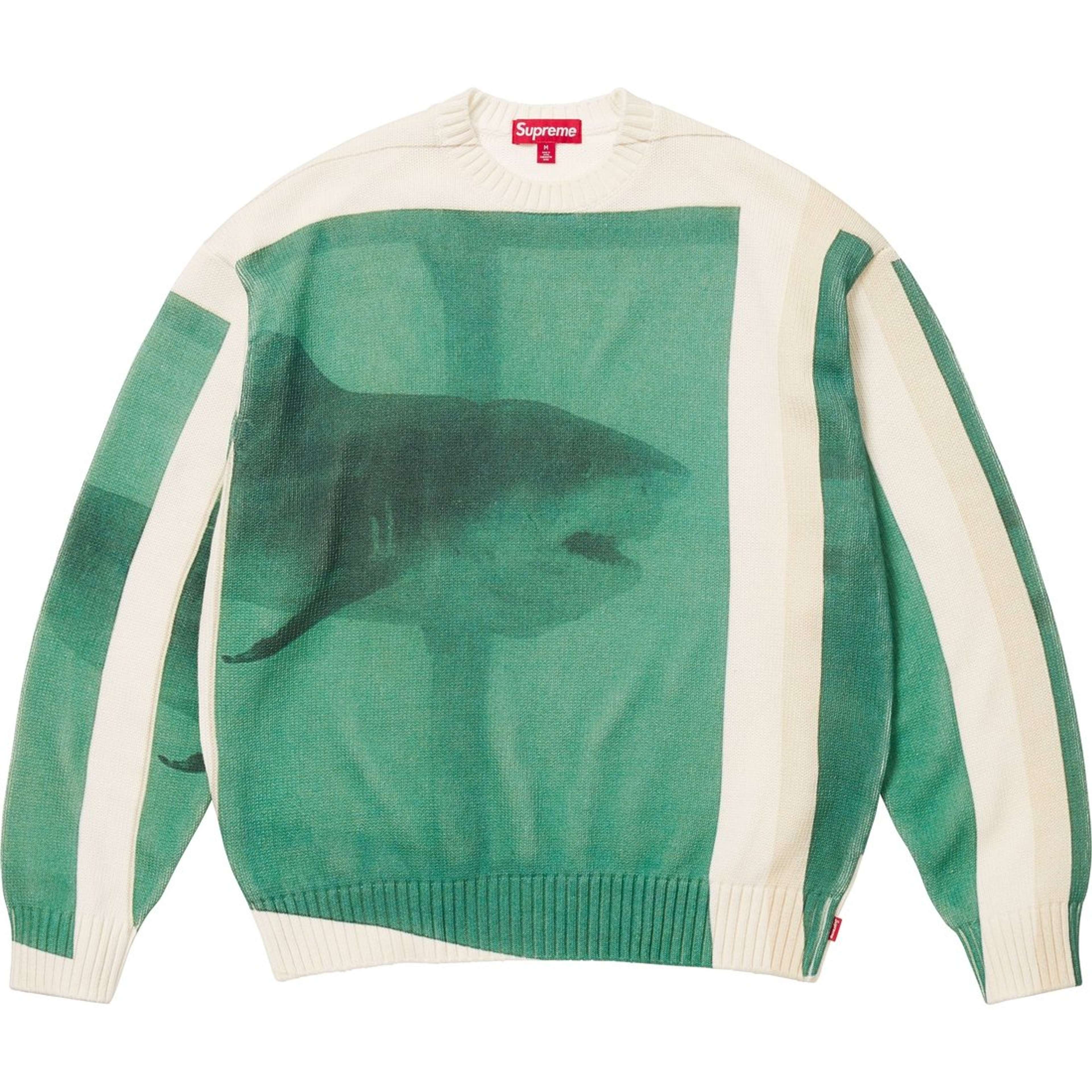 A jumper with a shark printed on it