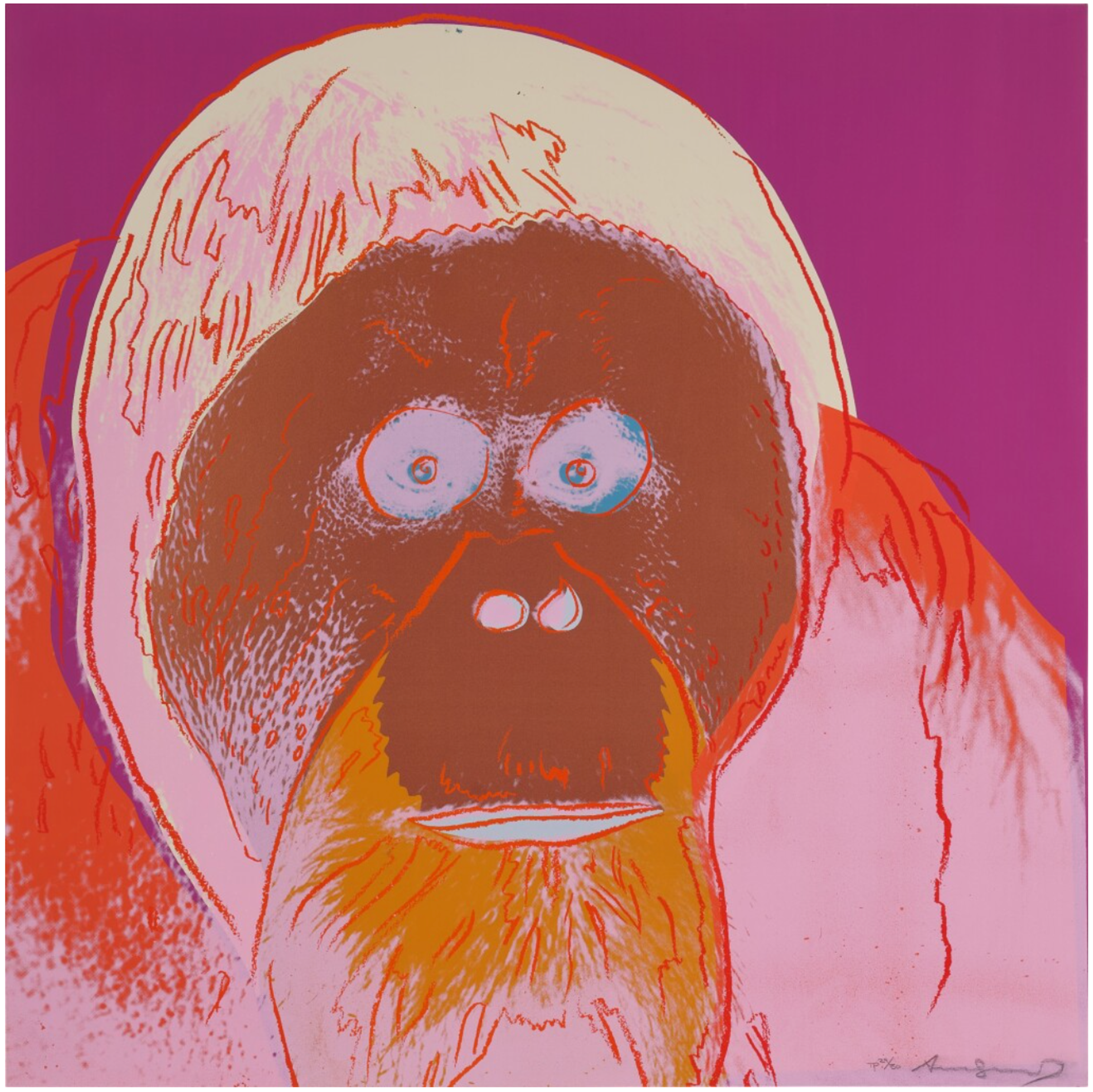 Orangutan (TP) by Andy Warhol - Sotheby's 