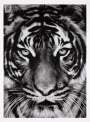 Robert Longo: Tiger - Signed Print