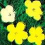 Andy Warhol: Flowers (F. & S. II.72) - Signed Print