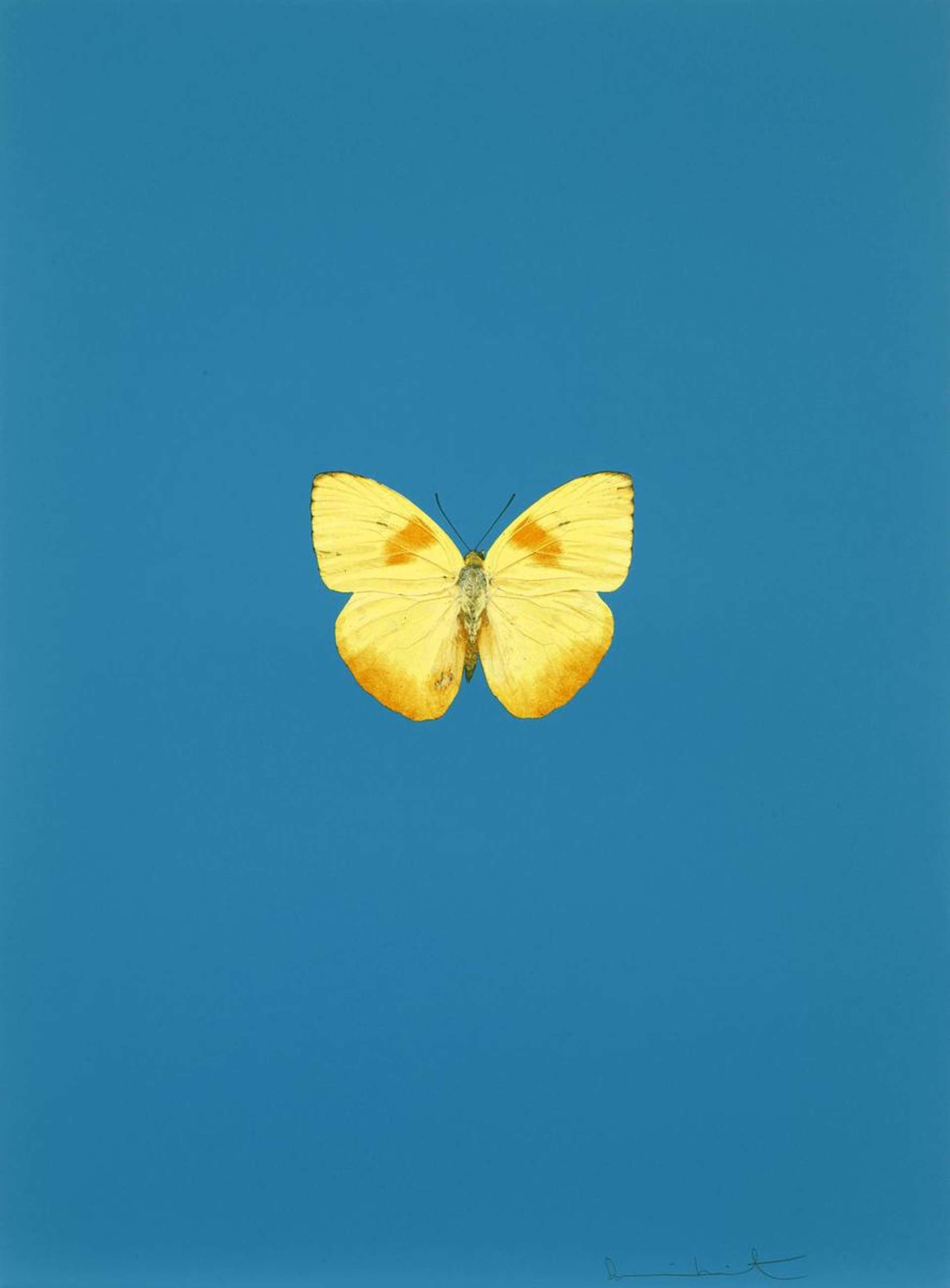 It’s a Beautiful Day 6 - Signed Print by Damien Hirst 2013 - MyArtBroker