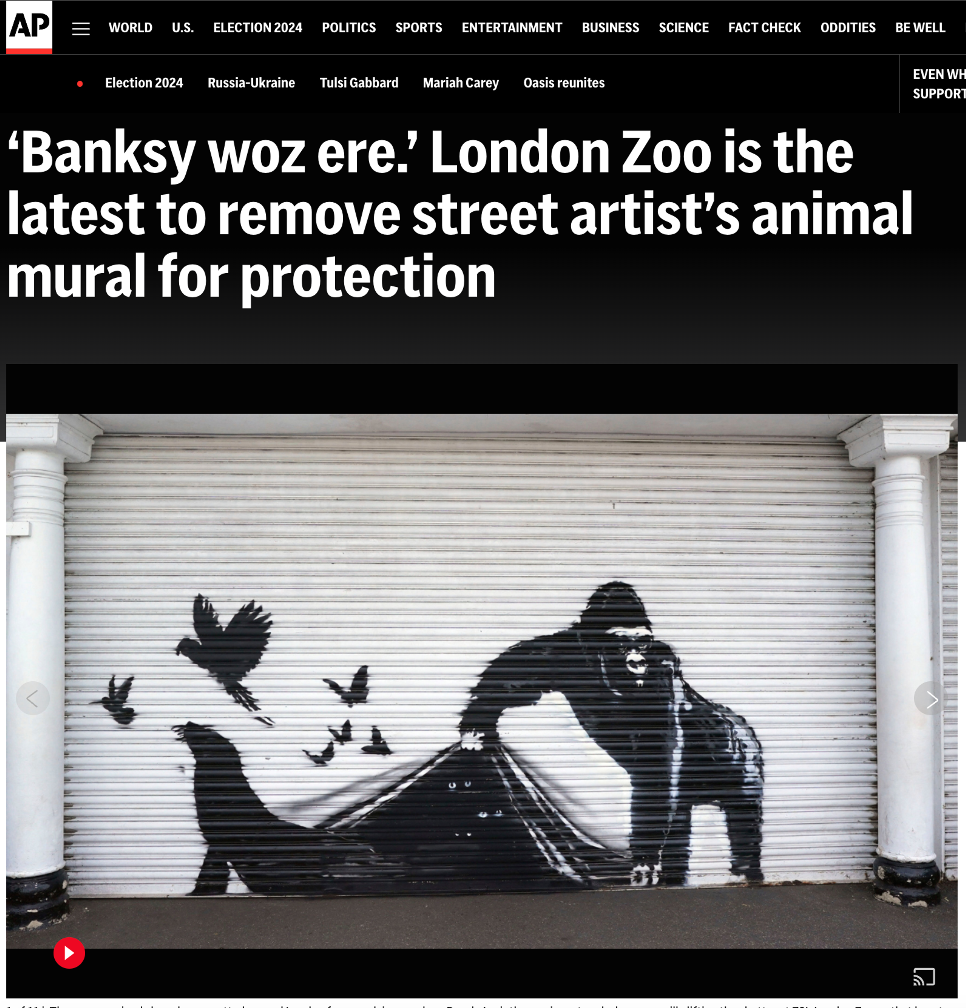 AP News Article with headline: ‘Banksy woz ere.’ London Zoo is the latest to remove street artist’s animal mural for protection