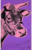 Cow (F. & S. II.12A) - Signed Print