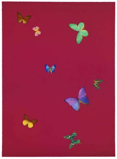 Damien Hirst: Your Smell - Signed Print