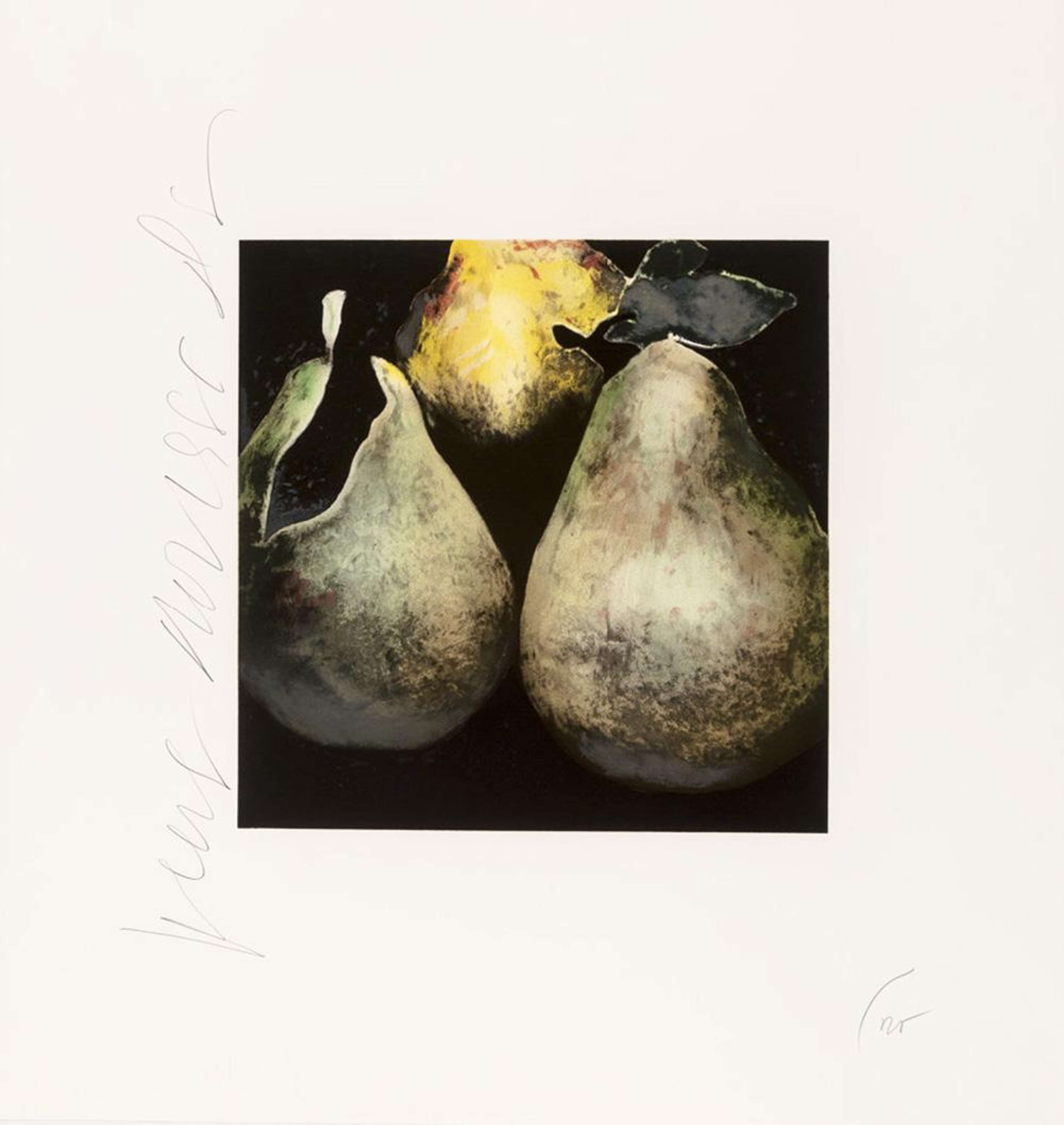 Pears - Signed Print by Donald Sultan 1991 - MyArtBroker