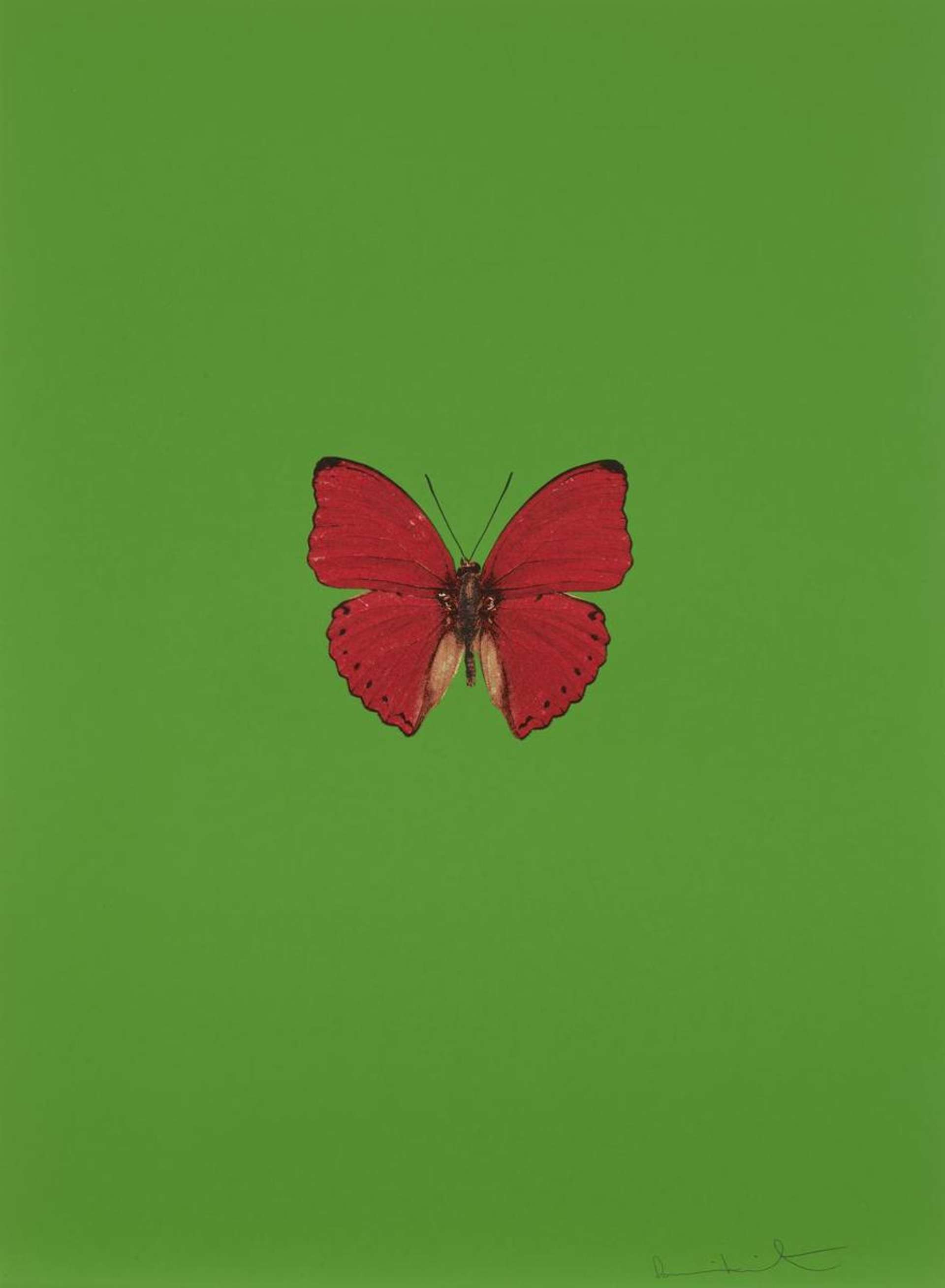 Damien Hirst: It’s a Beautiful Day 2 - Signed Print