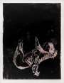 Georg Baselitz: Das Pferd - Signed Print