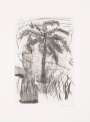 Josh Smith: Wild Palms 3 - Signed Print