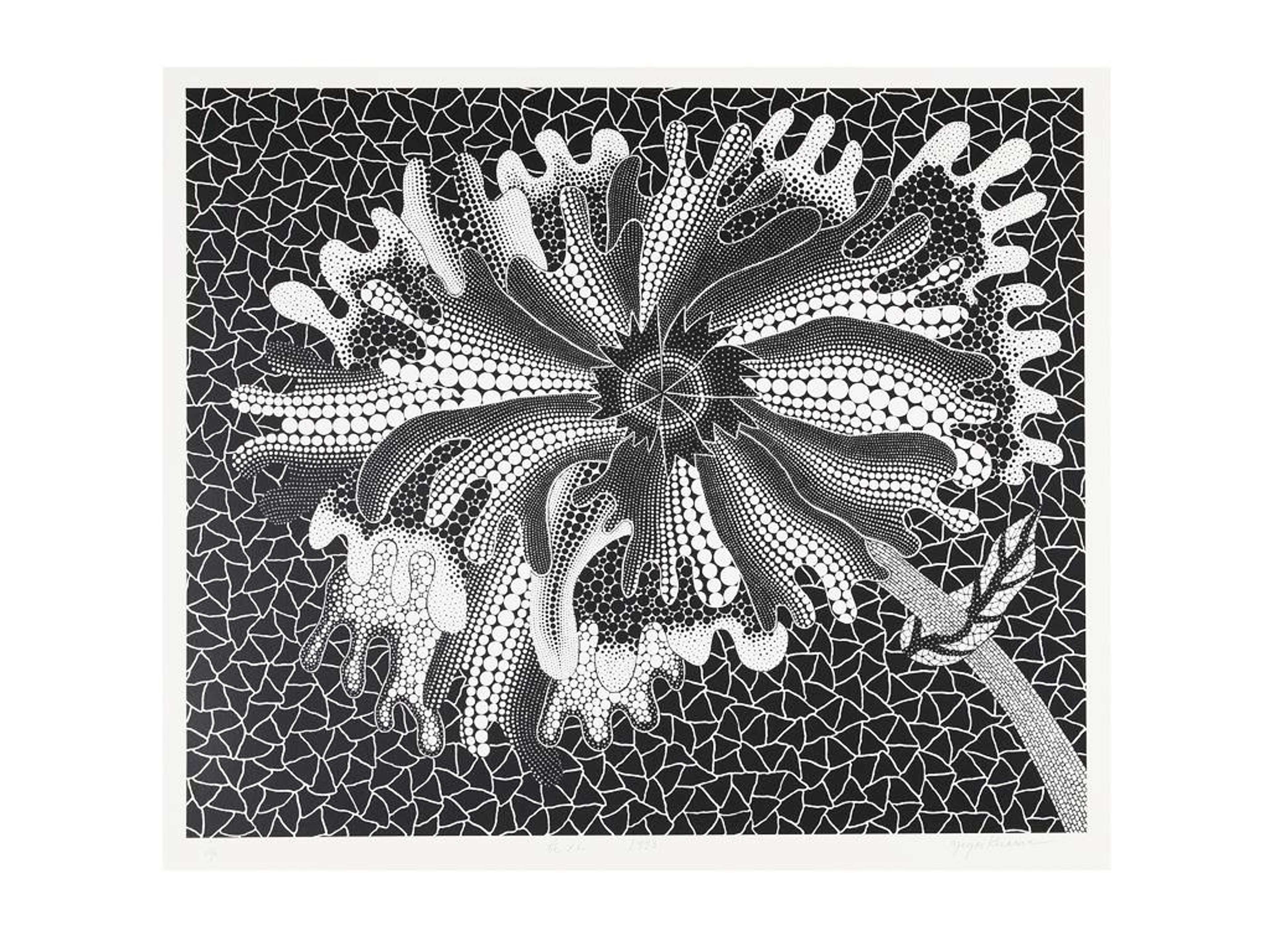 Flower XL - Signed Print by Yayoi Kusama 1993 - MyArtBroker