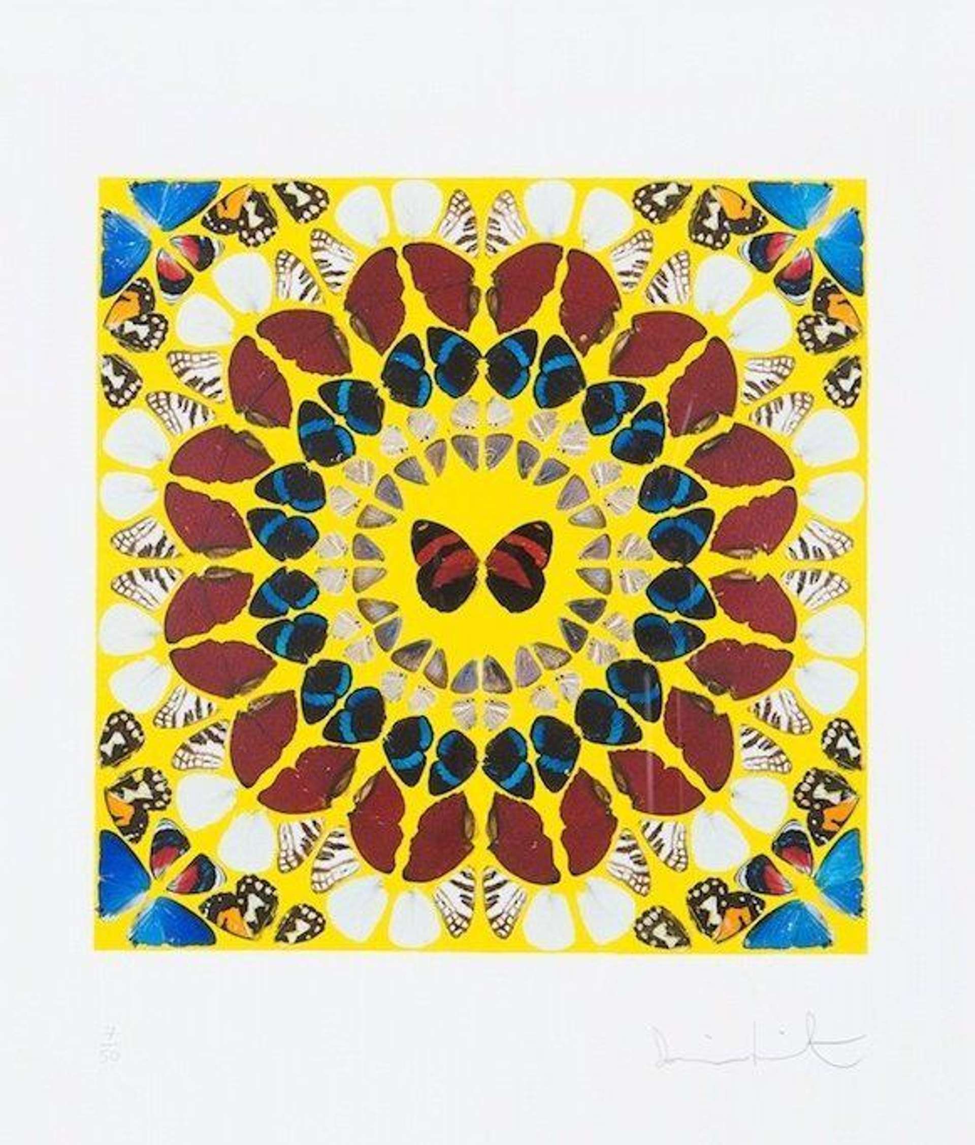 Damien Hirst: Miracle - Signed Print