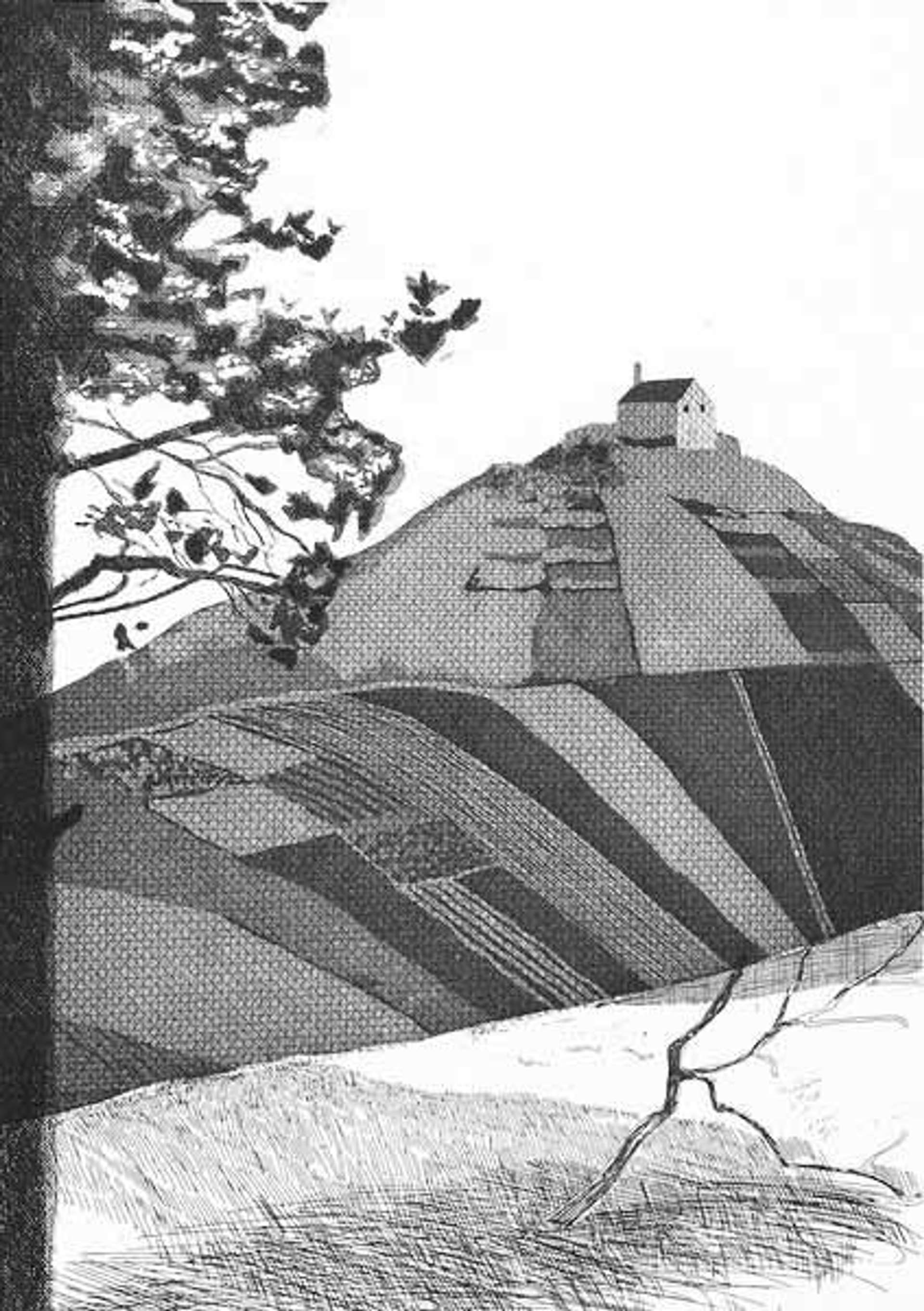An intaglio print by David Hockney in monochrome showing a house on top of a hill.