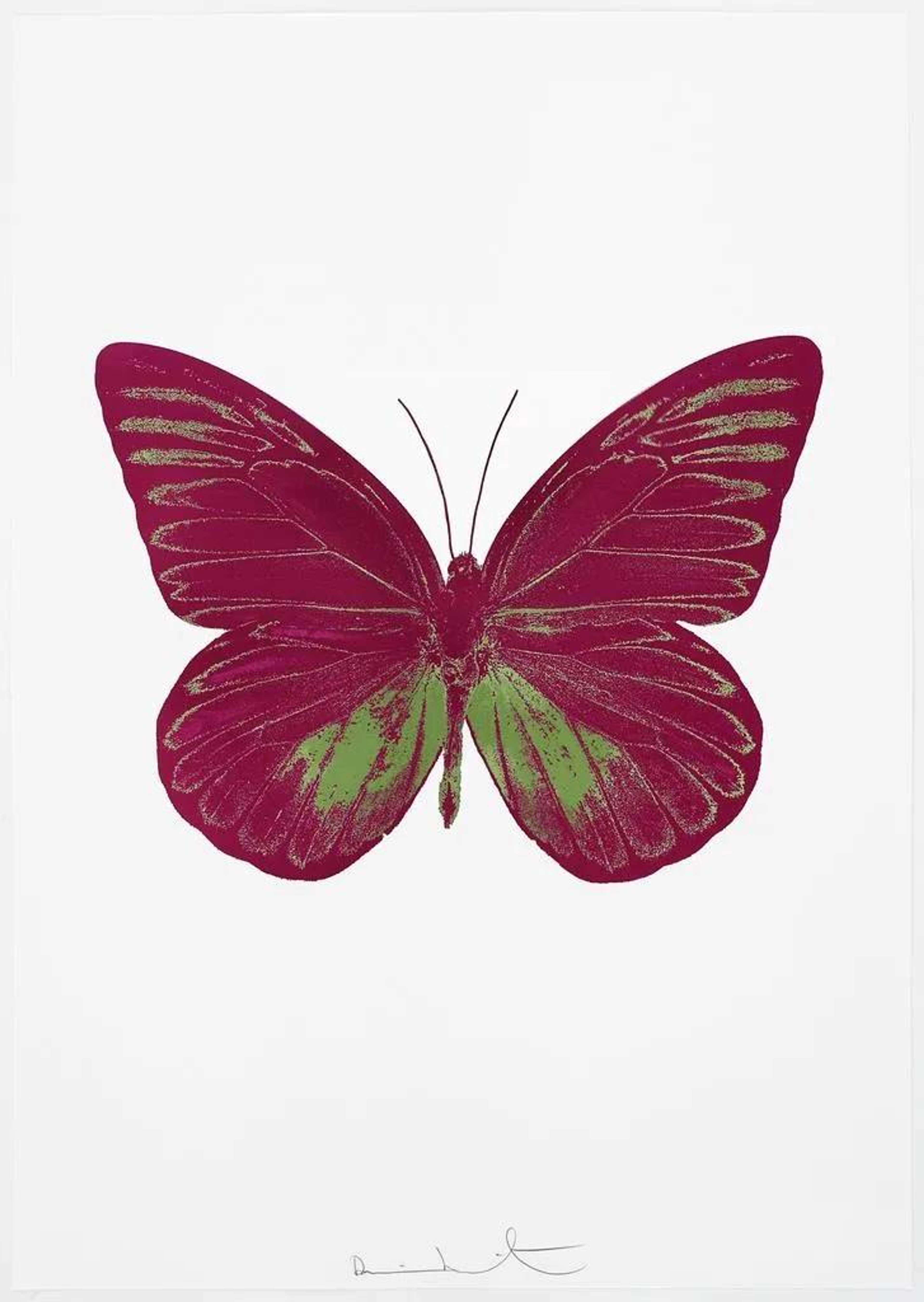The Souls I (fuchsia pink, leaf green) - Signed Print