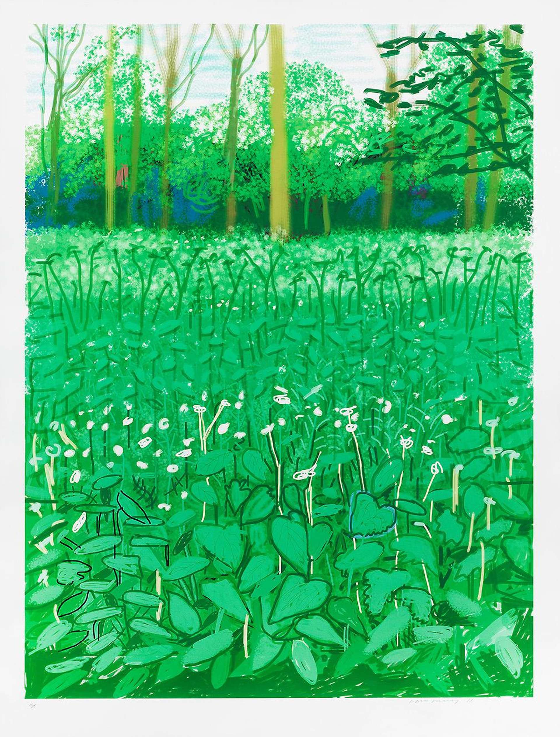 A digital print by David Hockney depicting a green field of leaves and white flowers, with trees receding into the background.