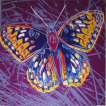 San Francisco Silverspot Butterfly (F. & S. II 298) - Signed Print