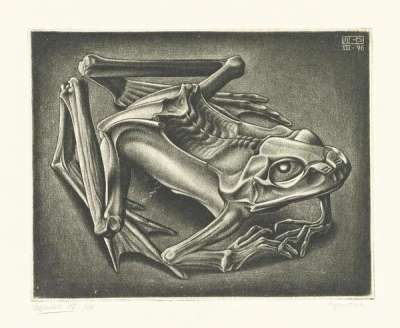 Mummified Frog - Signed Print by M. C. Escher 1946 - MyArtBroker