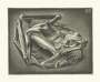 M. C. Escher: Mummified Frog - Signed Print