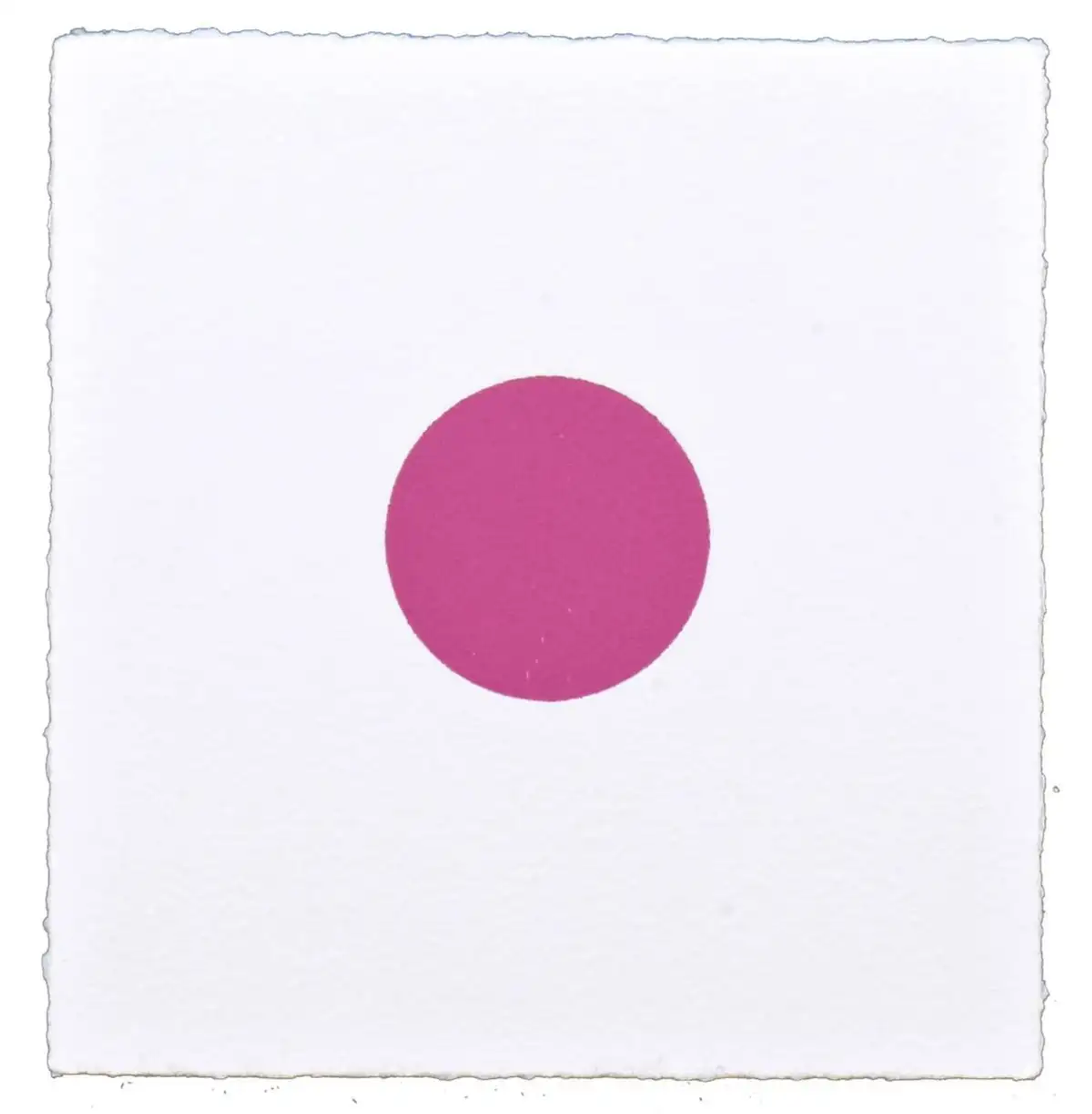 A pink circle in the centre of a canvas, against a white background.