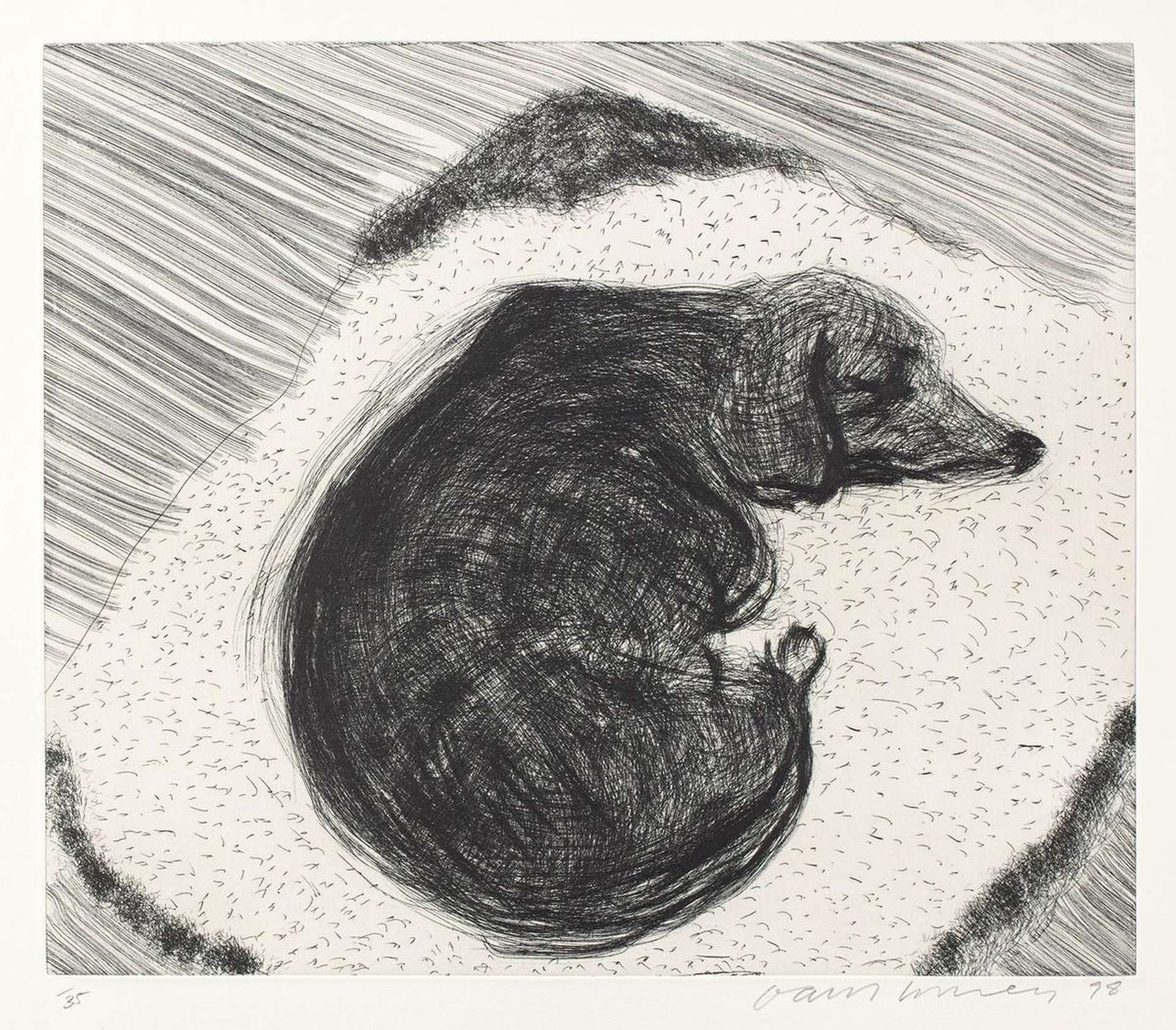 Dog Etching No. 3 - Signed Print by David Hockney 1998 - MyArtBroker