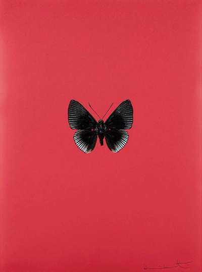 Damien Hirst: It’s A Beautiful Day 5 - Signed Print