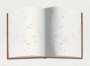 Ed Ruscha: Open Book With Worm Holes - Signed Print