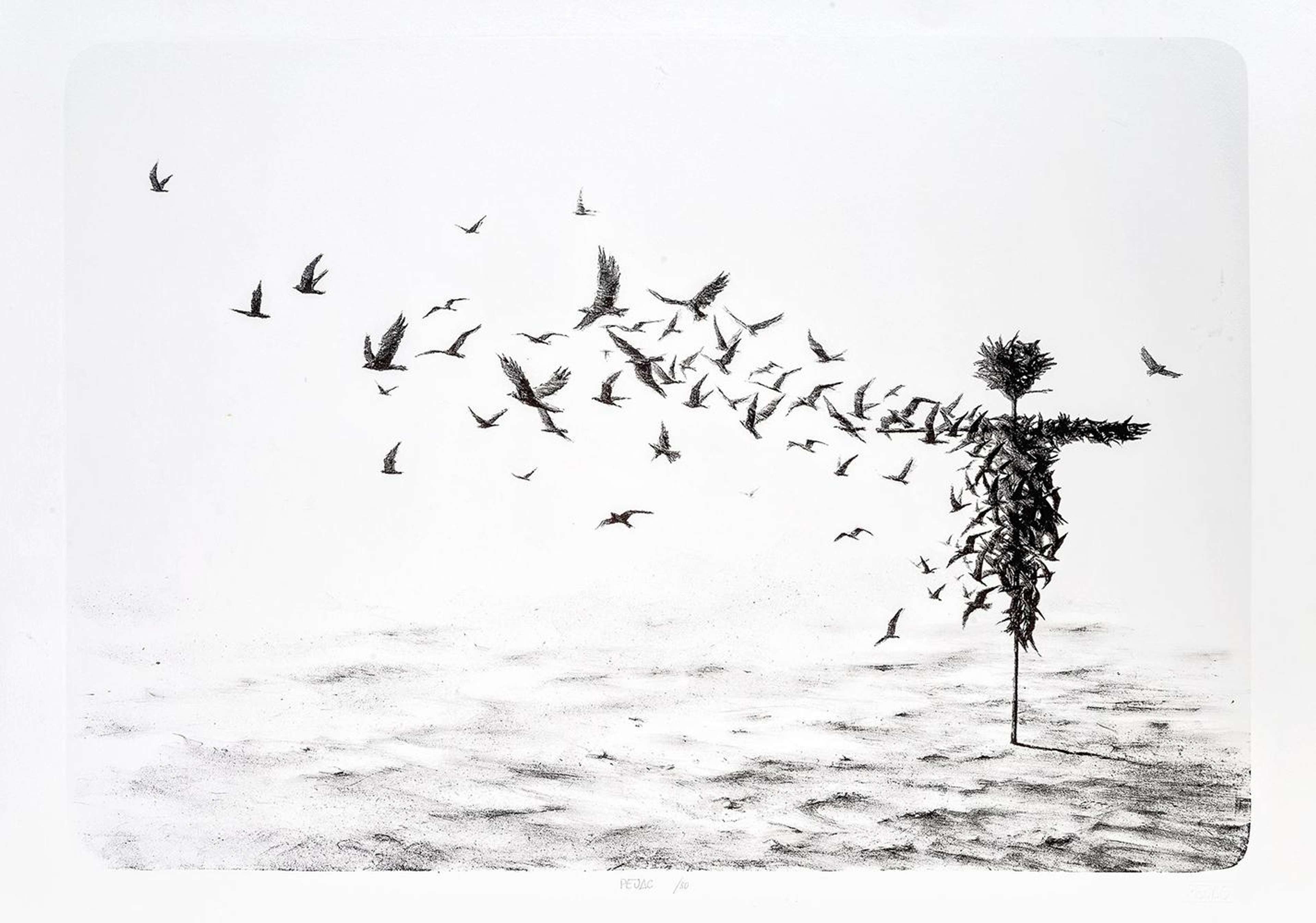 Scattercrow - Signed Print by Pejac 2017 - MyArtBroker