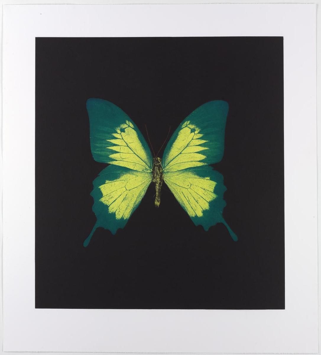 Damien Hirst Memento 2 (Signed Print) 2008