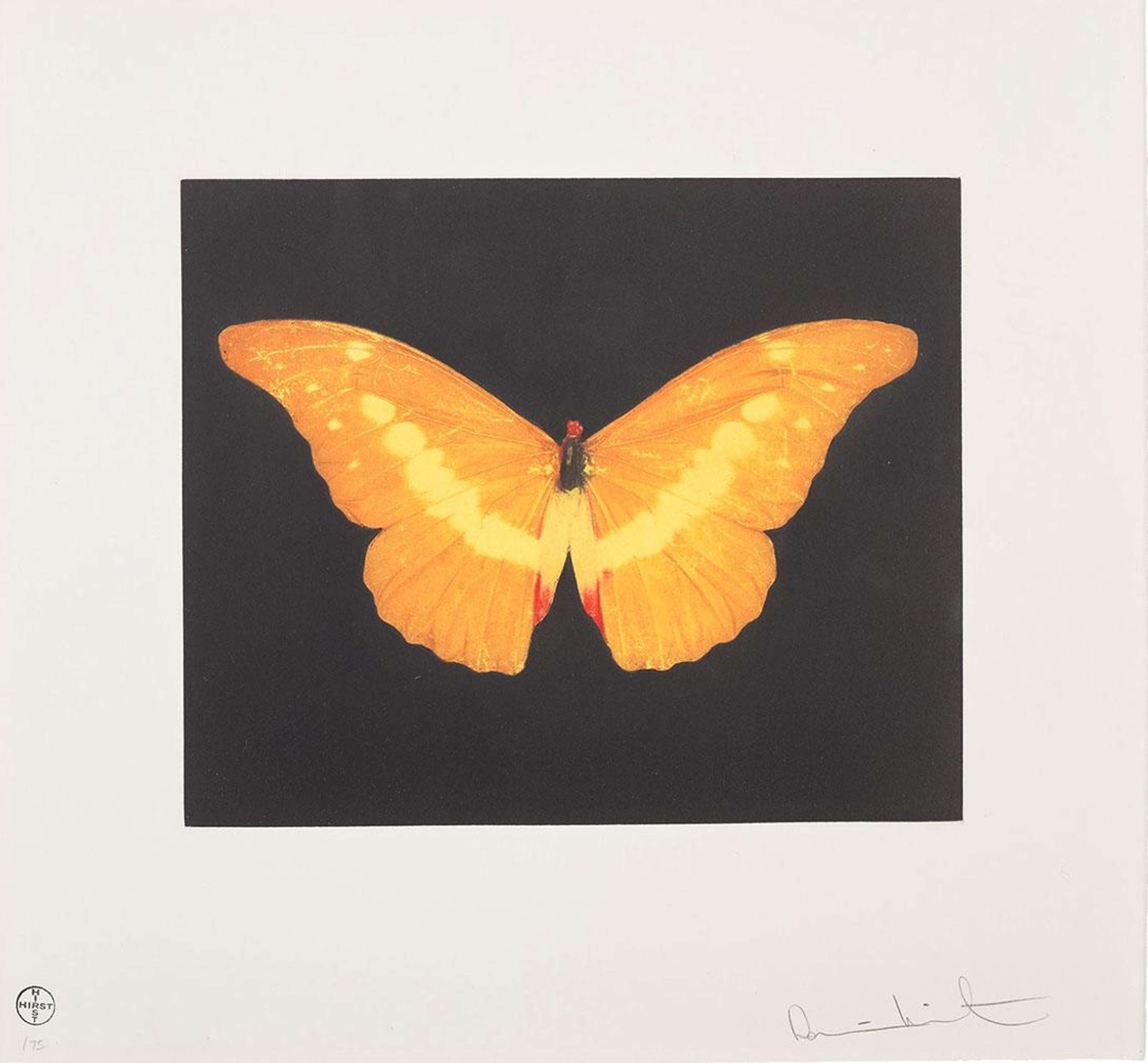 To Love - Signed Print by Damien Hirst 2008 - MyArtBroker