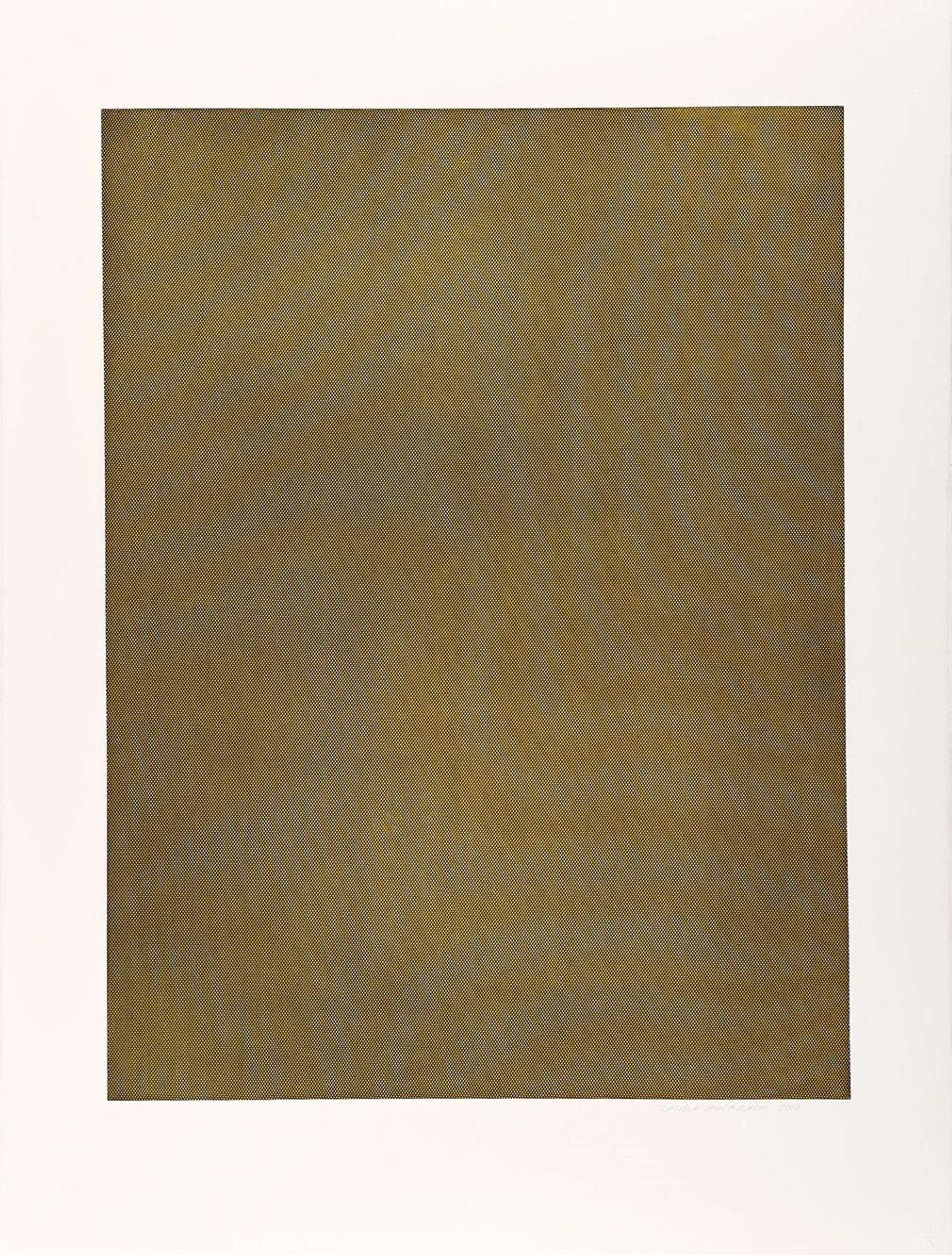 Mesh Moire III - Signed Print by Tauba Auerbach 2012 - MyArtBroker