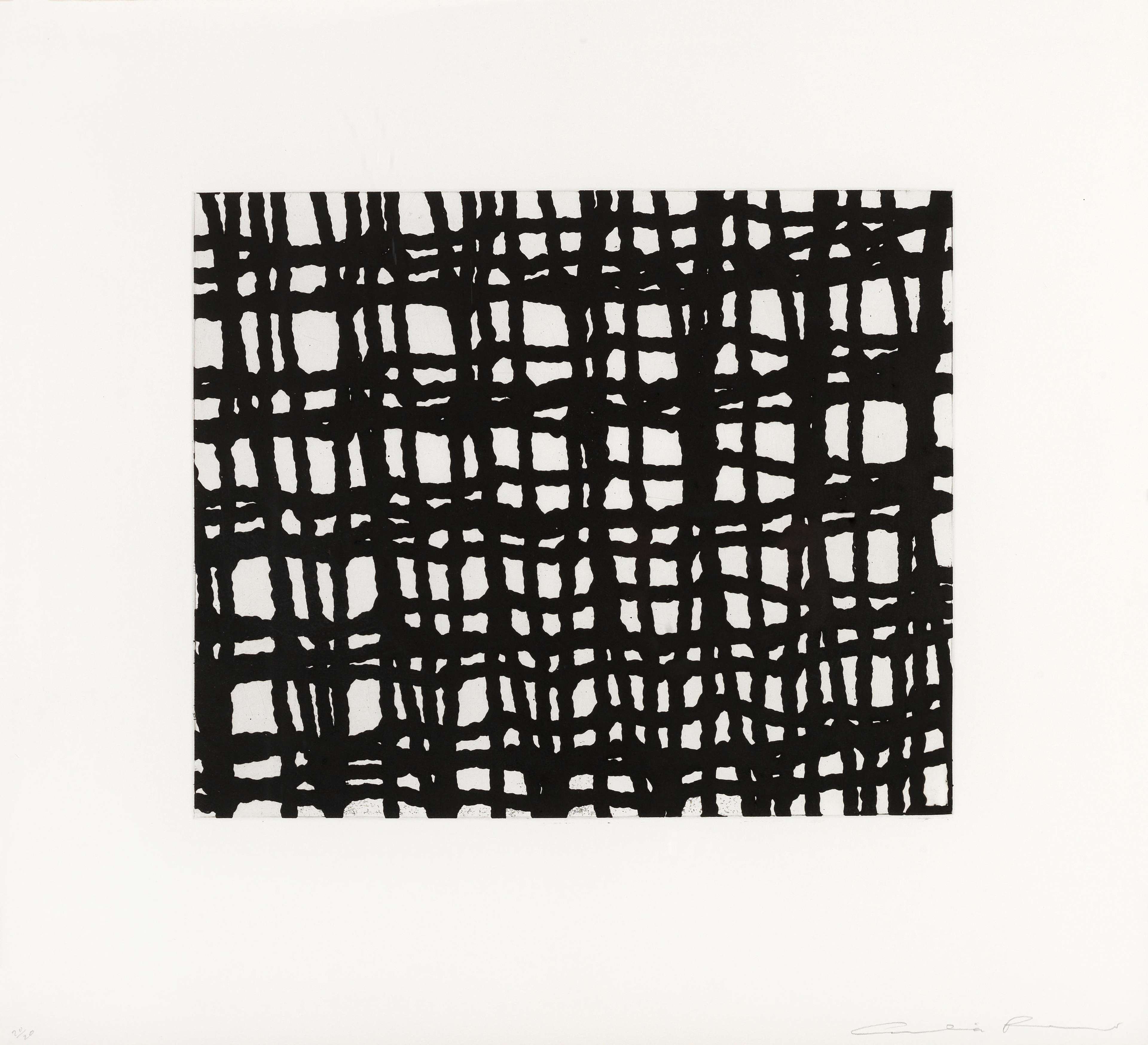 Worry Lines 3 - Signed Print by Cornelia Parker 2008 - MyArtBroker