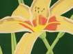 Day Lily 1 - Signed Print