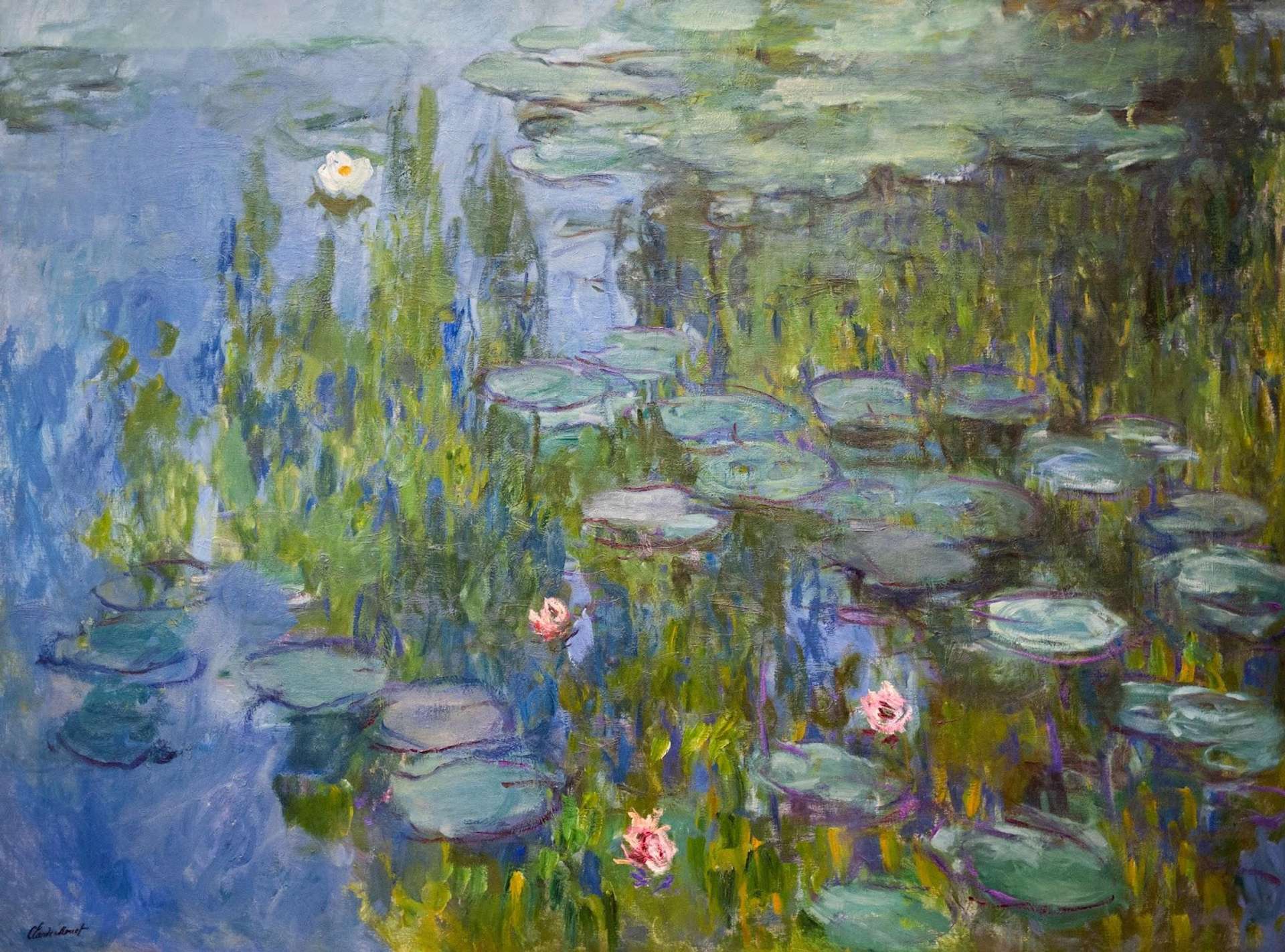 An image of a painting by Claude Monet, from his Water Lilies series. It shows several water lilies in a pond, which reflects the sky.